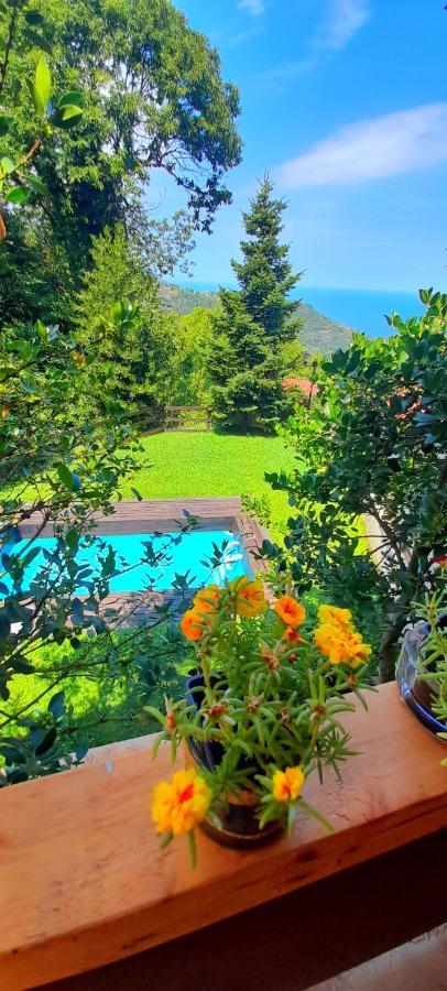 Golden Mountain Guest House Anilio Pelion Ngoại thất bức ảnh