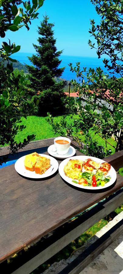 Golden Mountain Guest House Anilio Pelion Ngoại thất bức ảnh